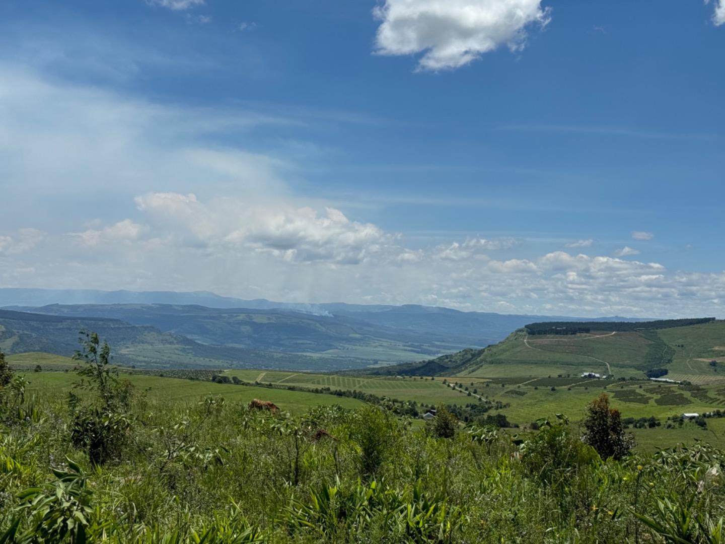 Vacant land / plot for sale in Mount Verde THE Farms Hilton Gardens