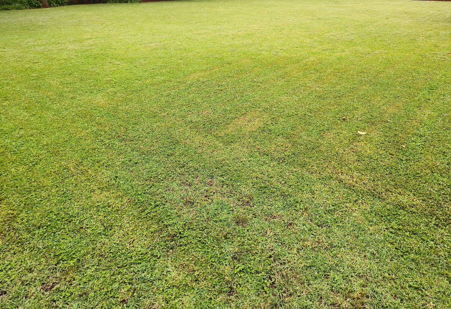 47 Bedroom House for sale in Bedworth Park P24113957565