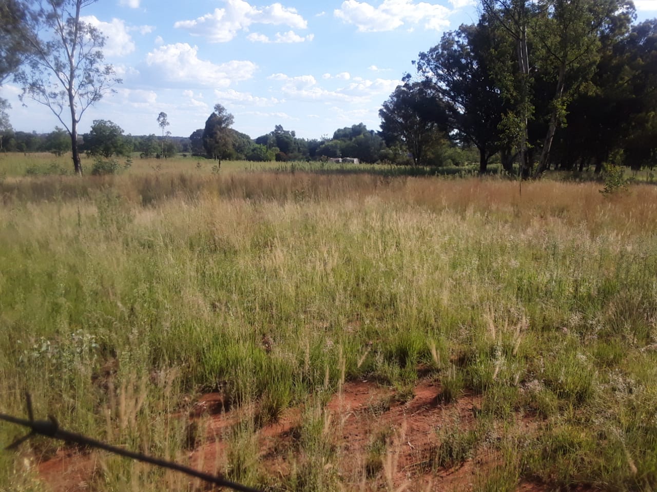 Walker Fruit Farms Property Property and houses for sale in Walker