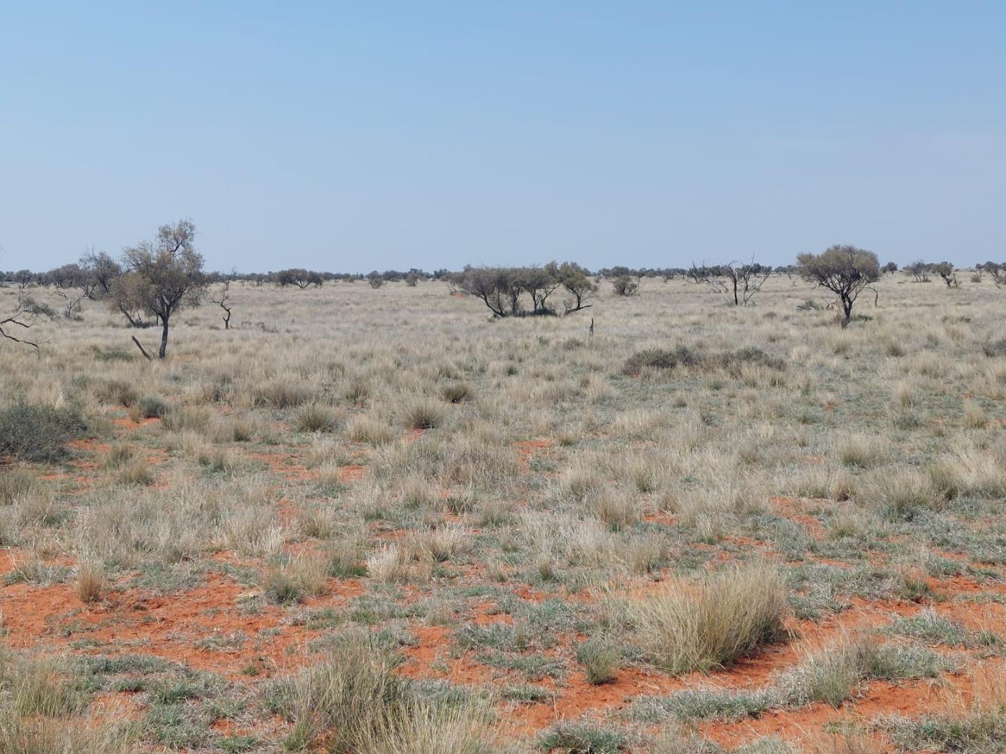 Farm for sale in Hopetown Rural 5g25crfx+34 P24113966018