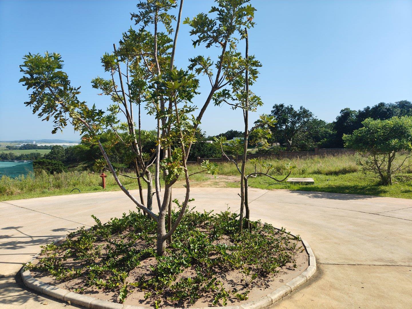 Sheffield Beach Property Property and houses for sale in Sheffield