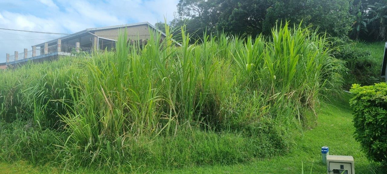 Vacant land / plot for sale in Melville P24113976046