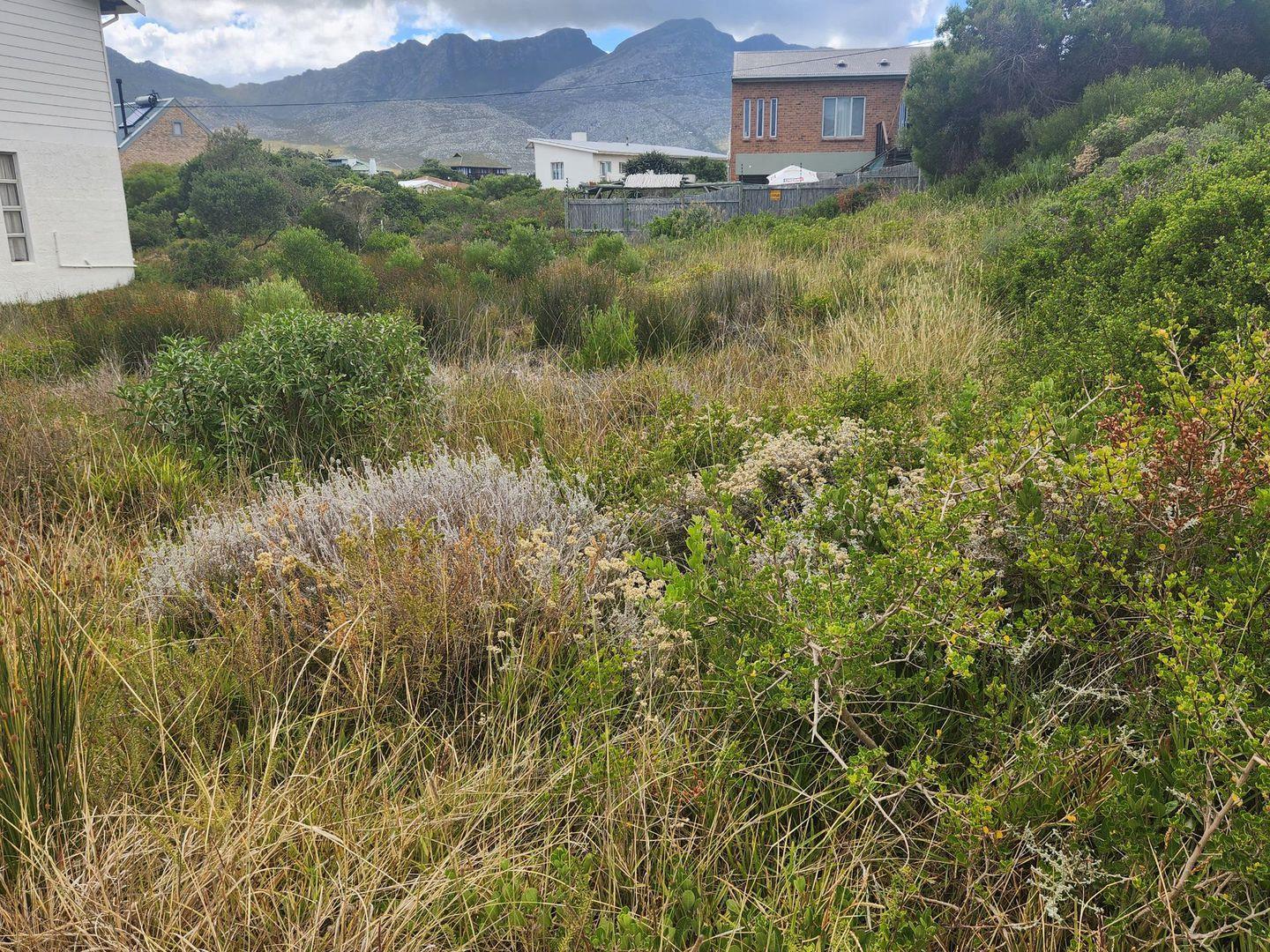 Vacant land / plot for sale in Pringle Bay 694 Barbara Road P24