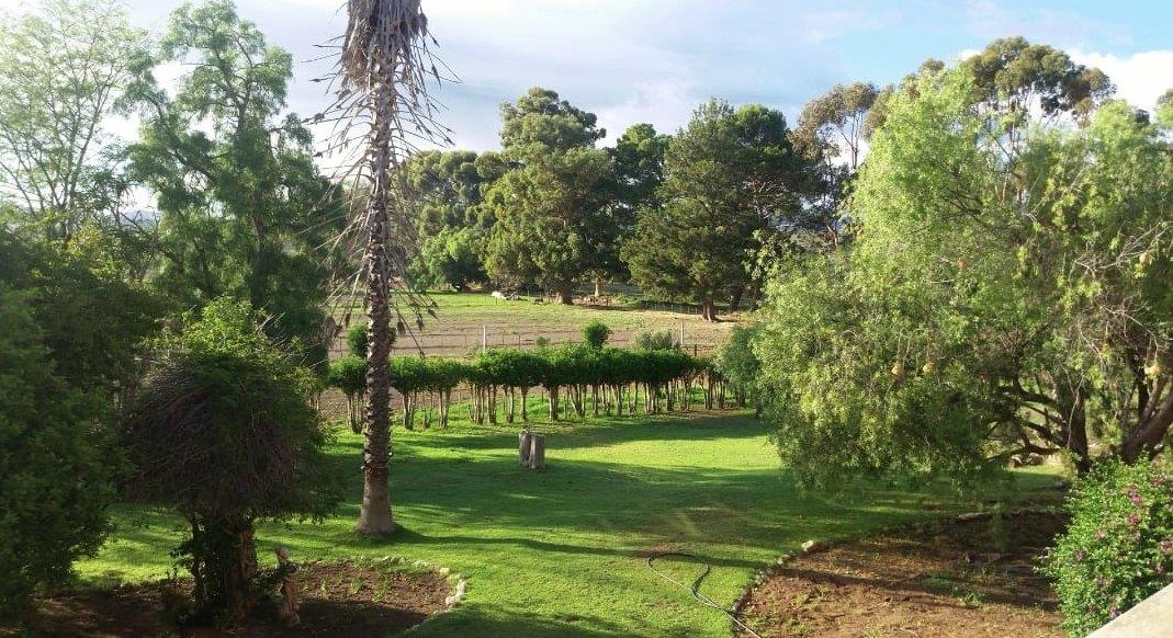 Farms for sale in Willowmore Willowmore Property