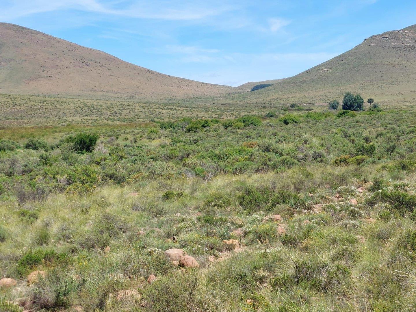 Farms for sale in Middelburg, Eastern Cape Middelburg, Eastern Cape