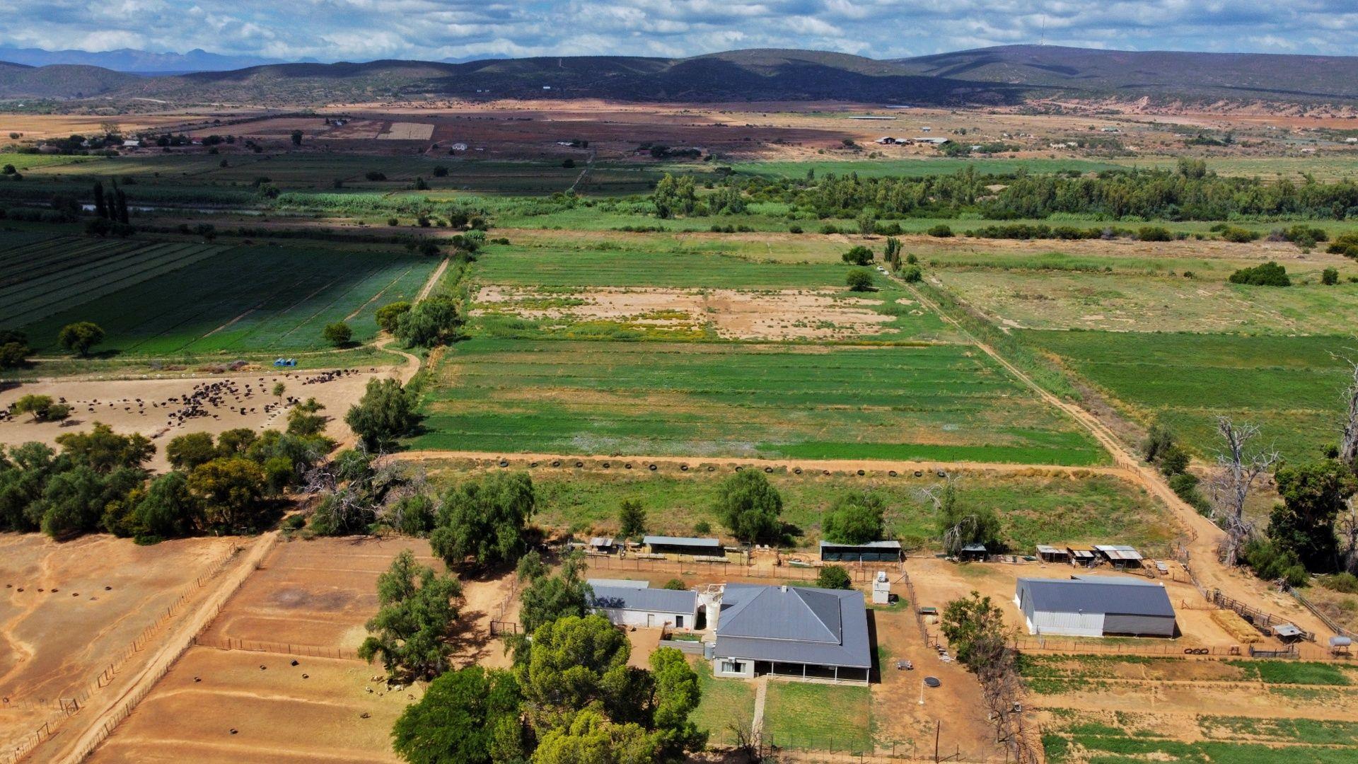 Farm for sale in Oudtshoorn Rural P24113986679