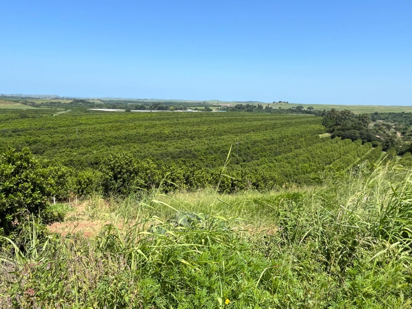 Kzn North Coast Property Farm for sale in Kzn North Coast