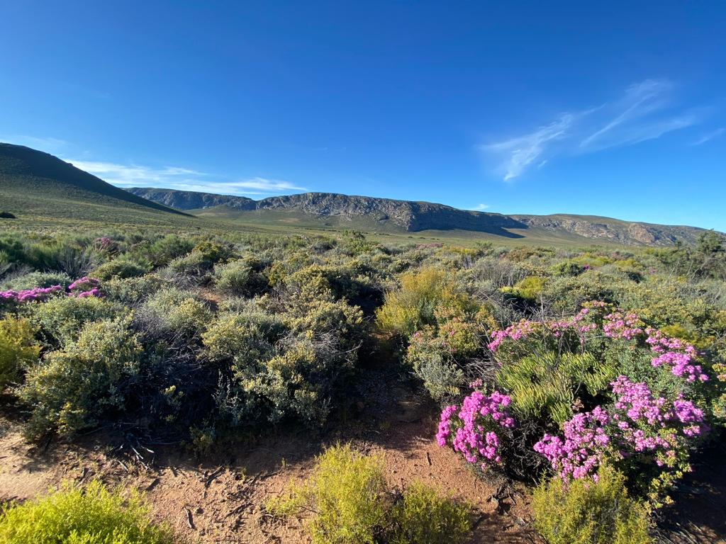 Vacant land / plot for sale in Montagu Rural P24113992820