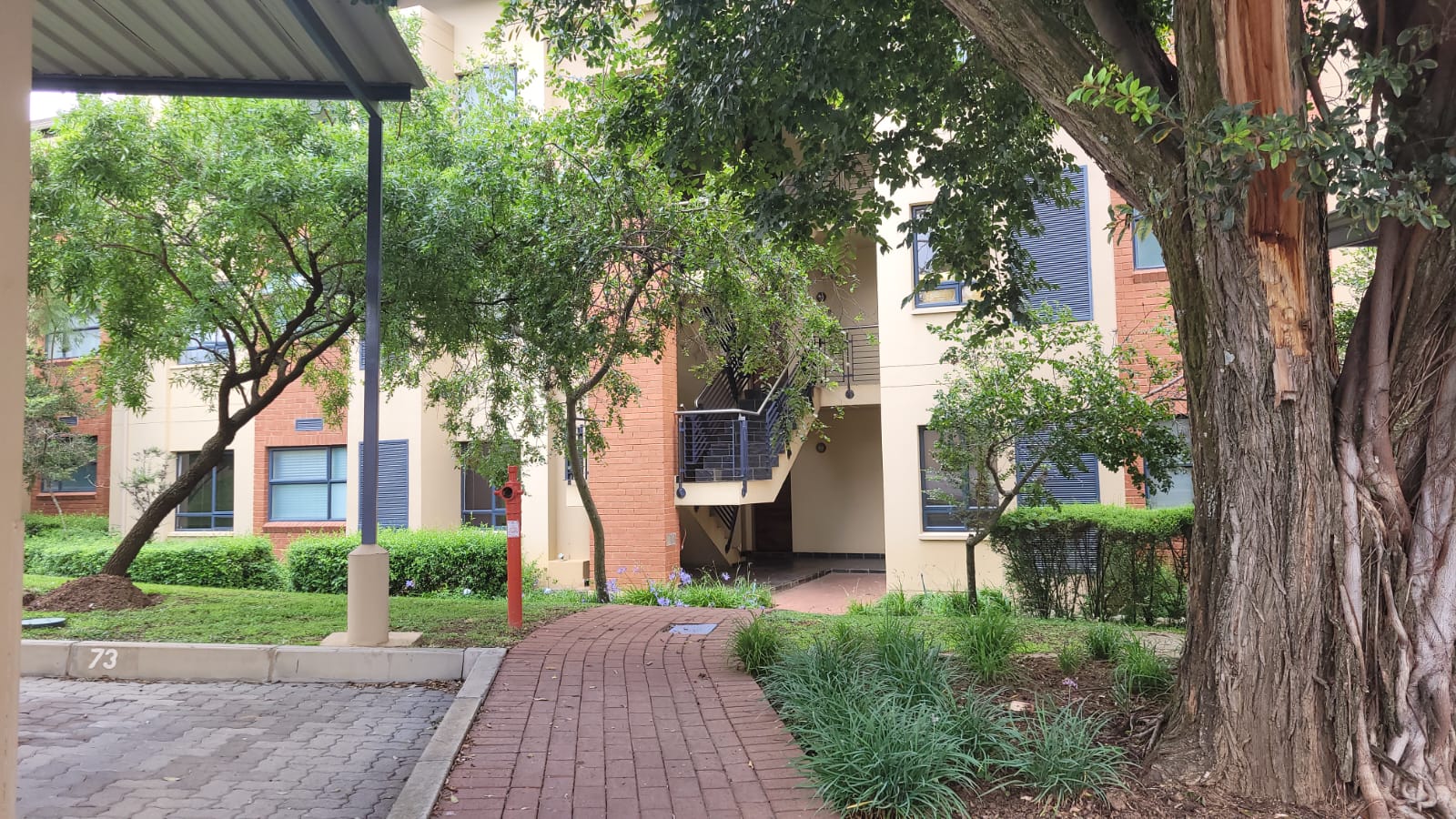 Jackal Creek Golf Estate Property Property and houses to rent in