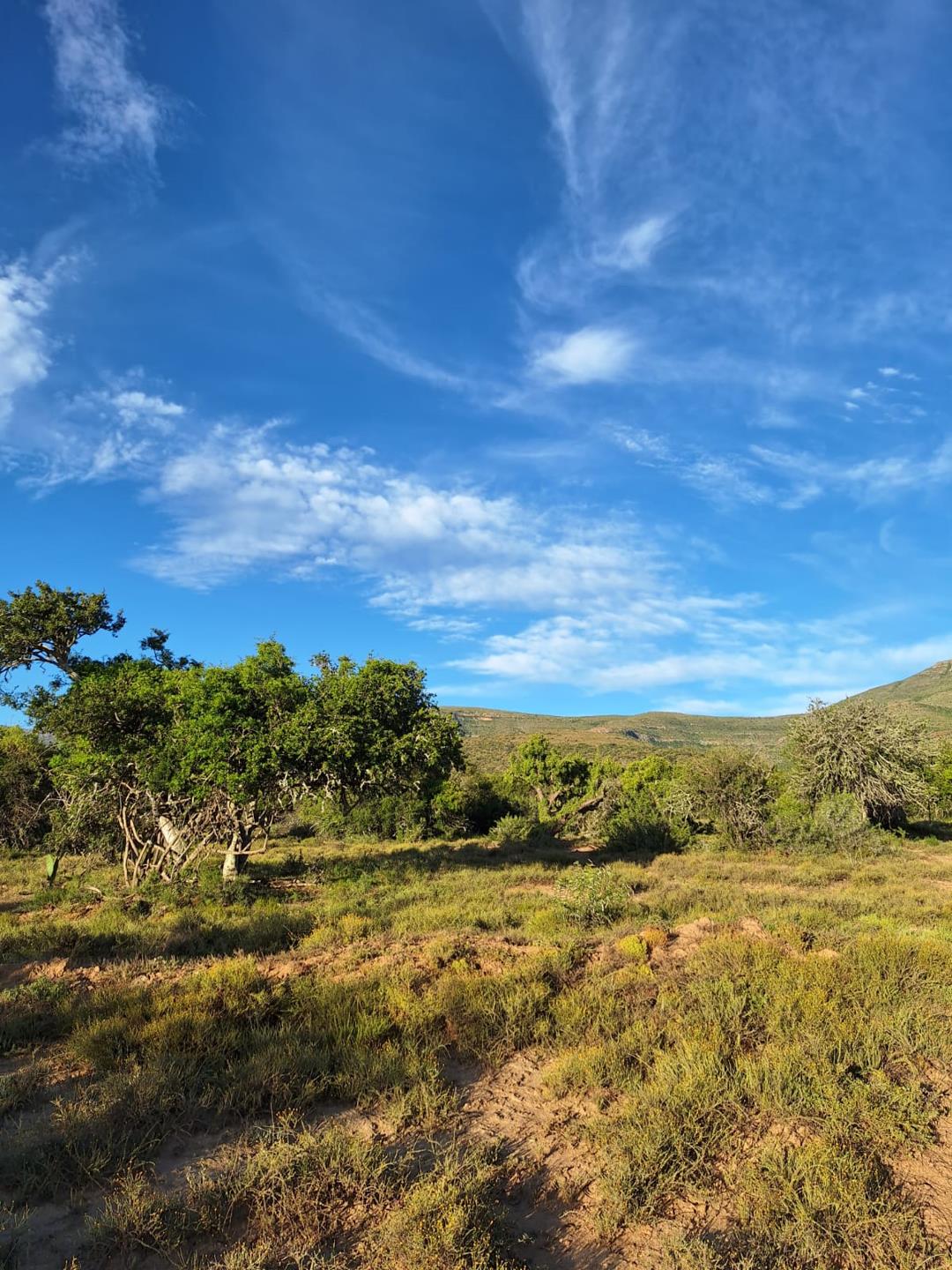 Property and houses for sale in Somerset East Somerset East Property