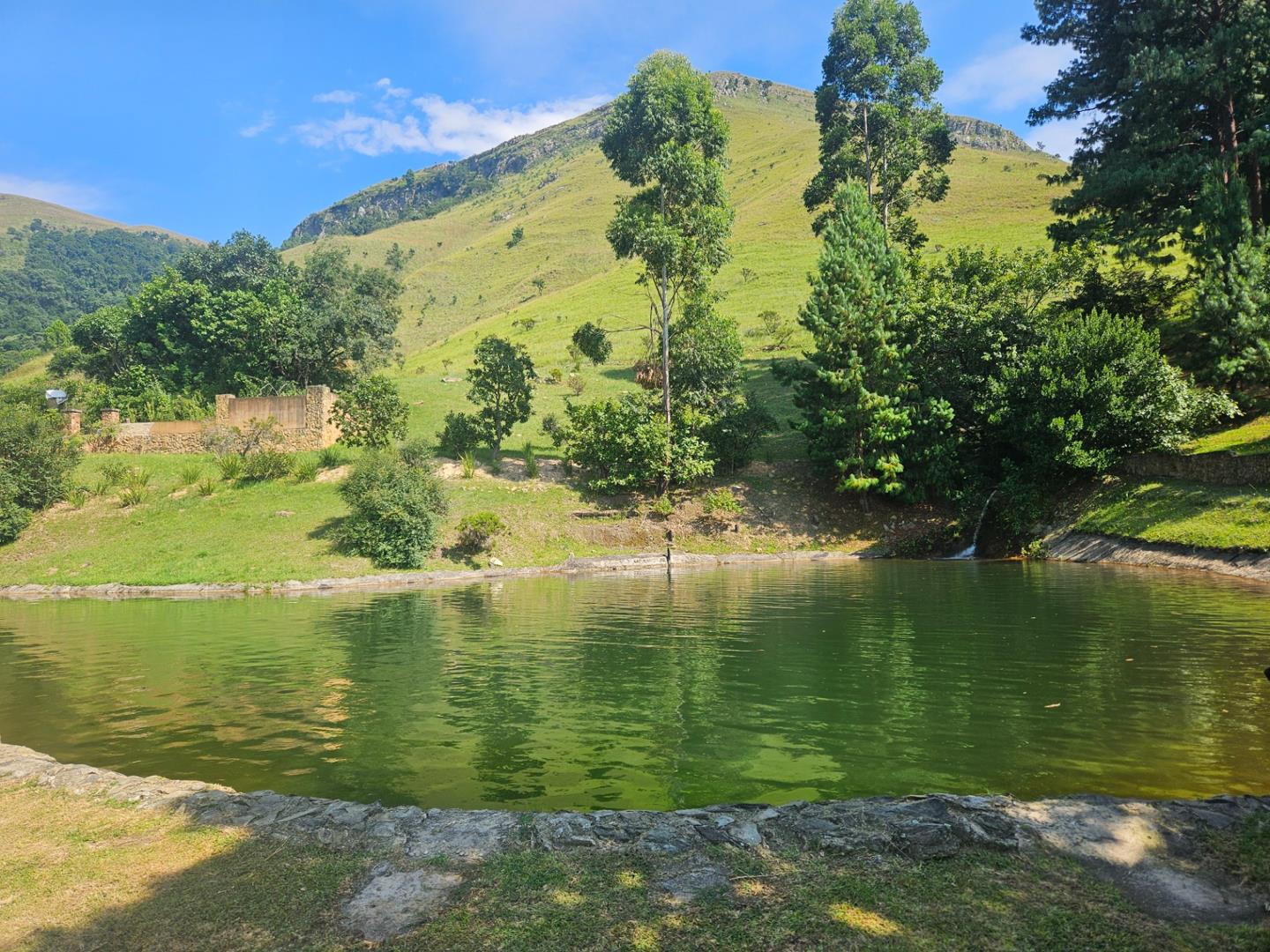 Farm for sale in Avontuur P24114020695