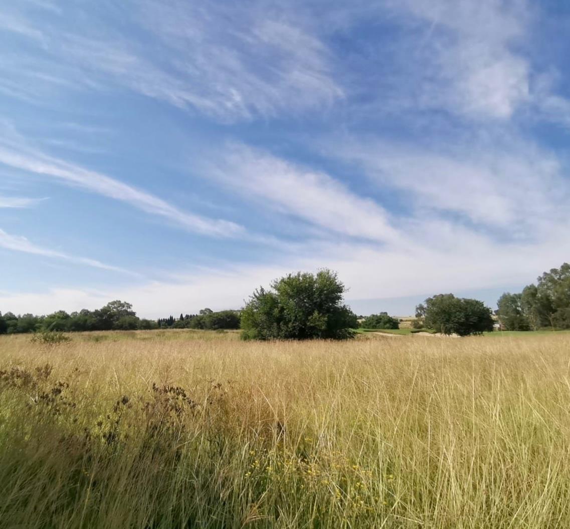 Vacant land / plot for sale in Vaal de Grace Golf Estate P24114020938