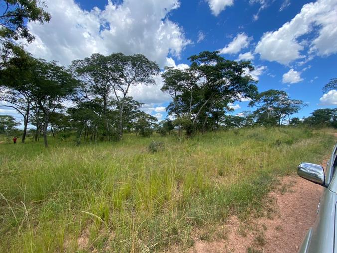 Vacant Land / Plot for Sale in State Lodge