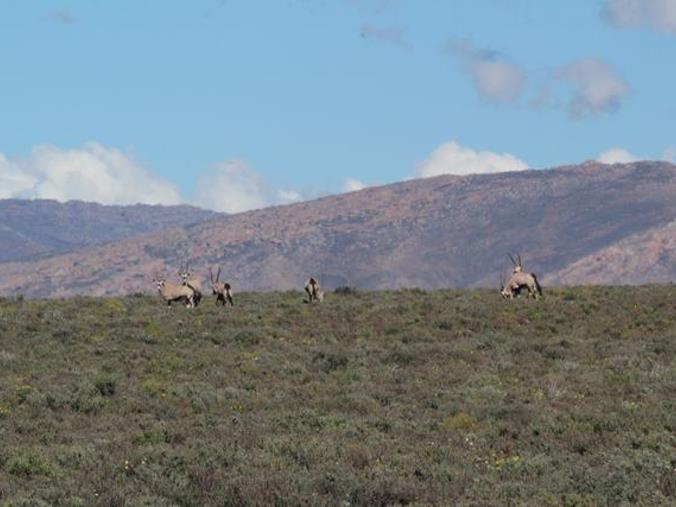 Farm for Sale in Ceres