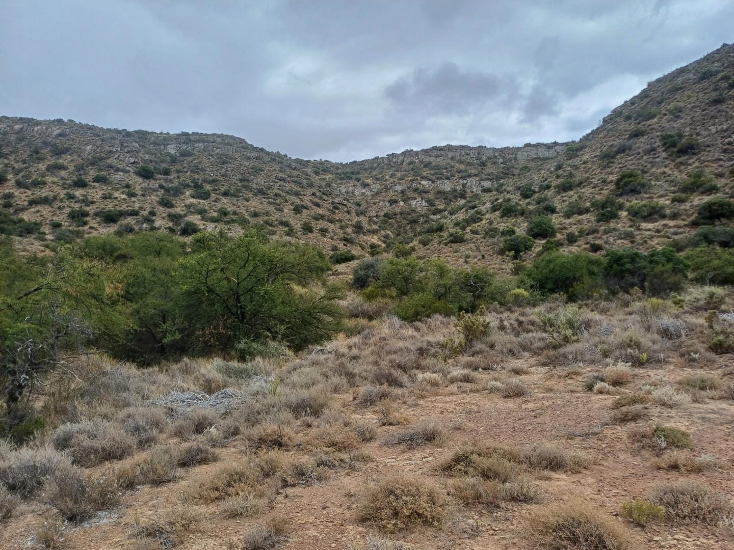 Farm for sale in Van Wyksdorp 5 Tavel Berg P24114051649