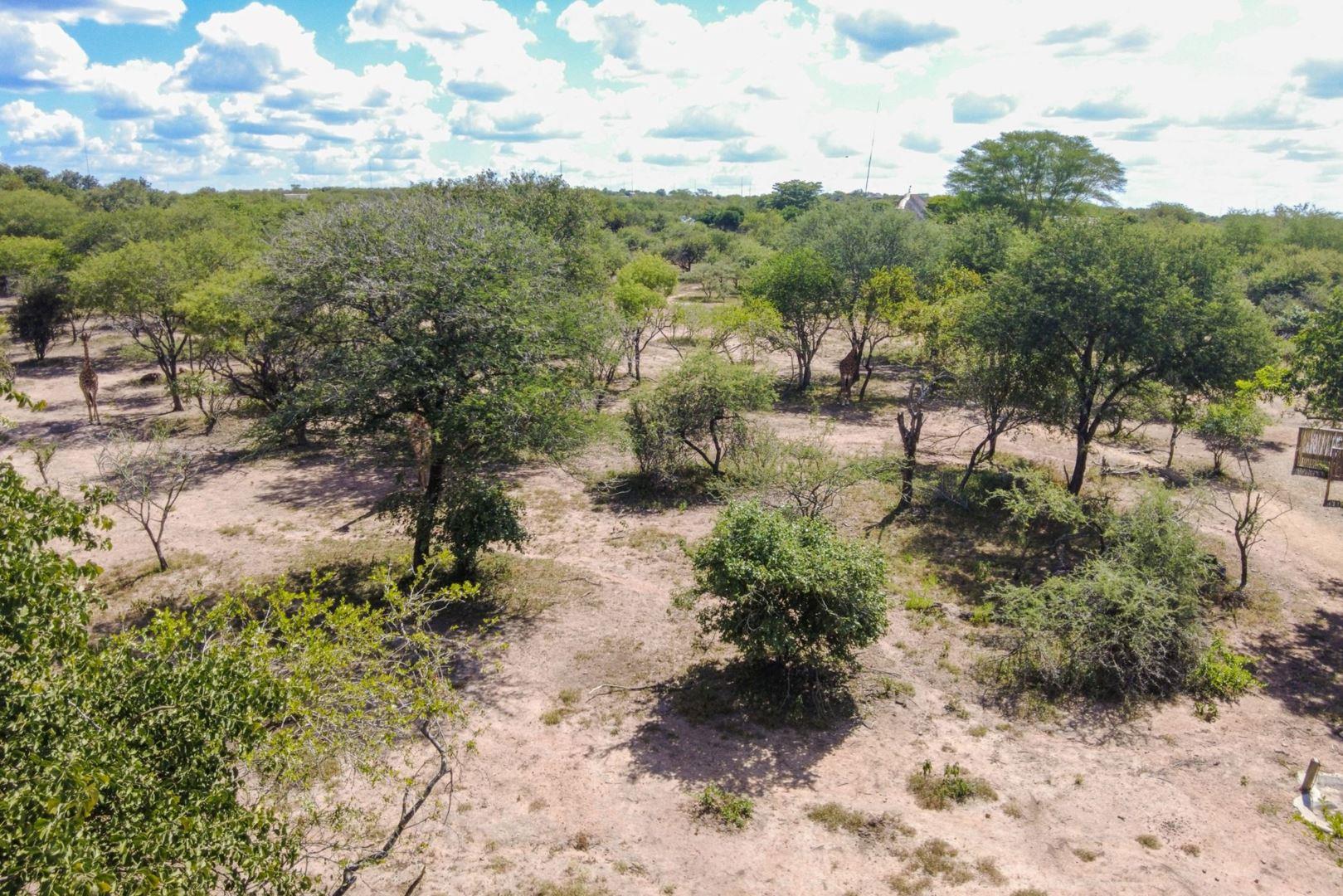 Vacant land / plot for sale in Marloth Park P24114051926