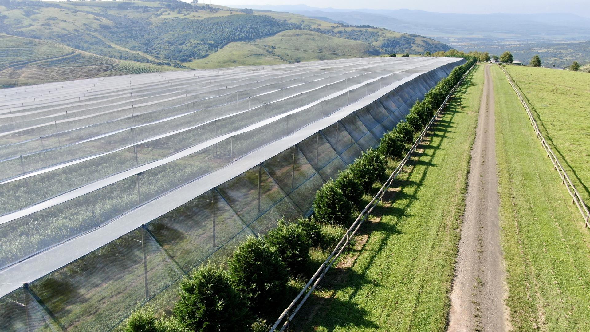 Farms for sale in Hilton Hilton Property