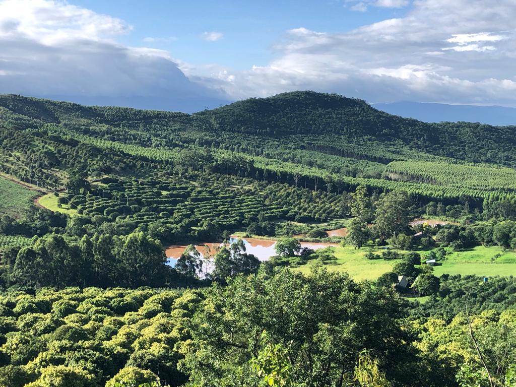 Farm for sale in Tzaneen Rural P24114064261