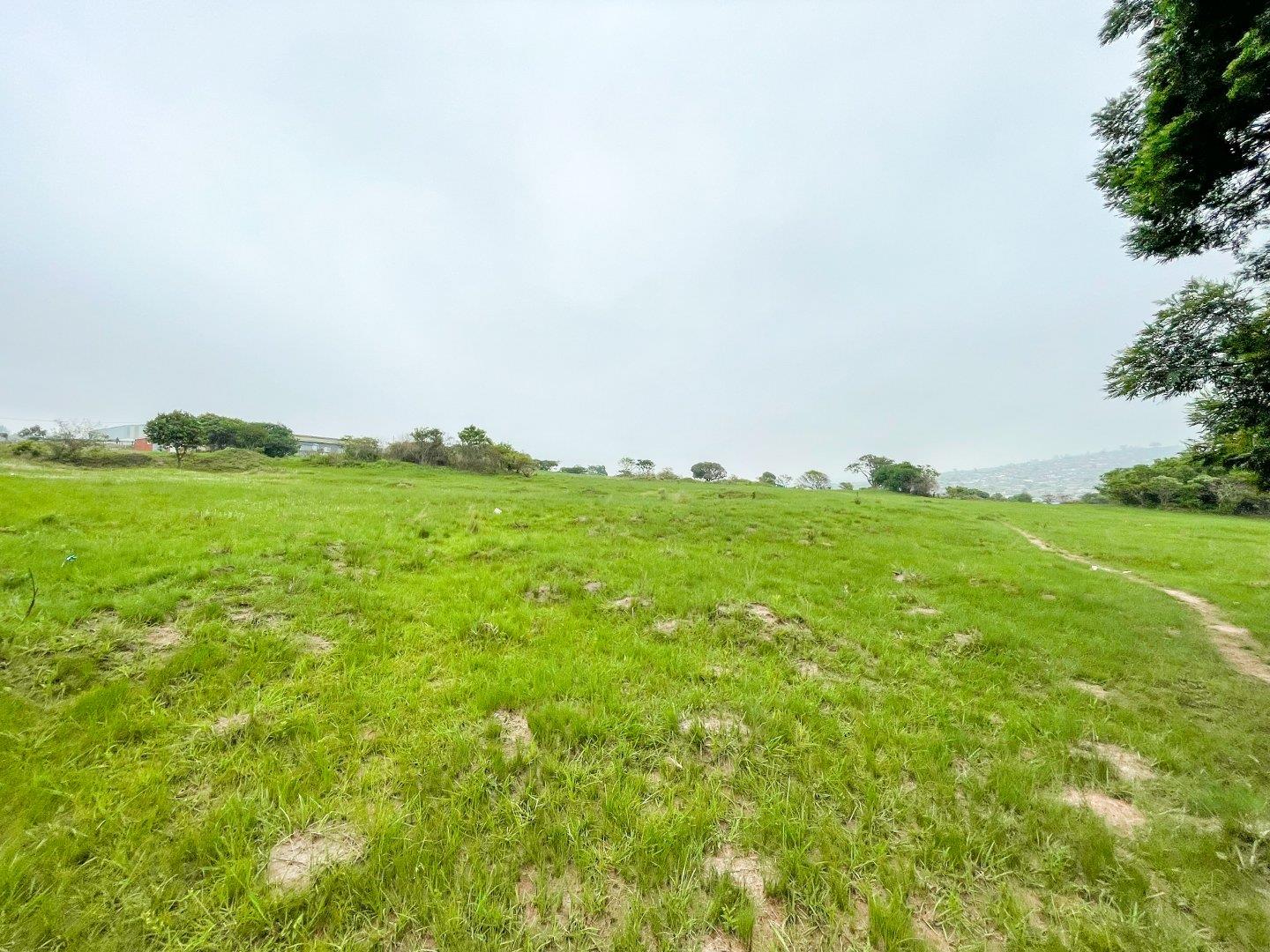 Industrial property for sale in Hammarsdale 4 Buckman Boulevard P24