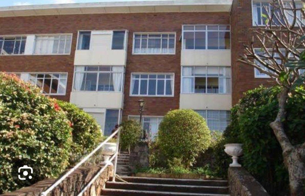 1 Bedroom Apartment / flat to rent in Musgrave P24114072280