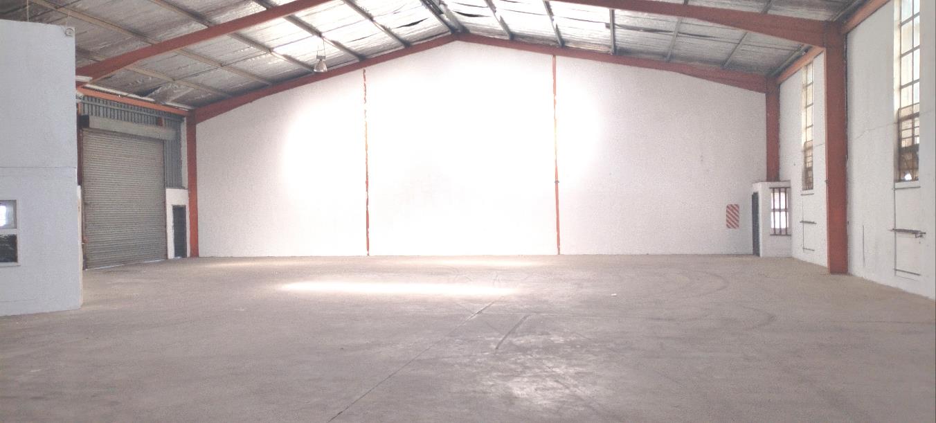 Springfield, Durban Property Property and houses to rent in