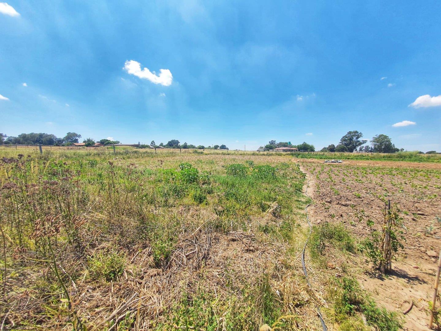 Farms for sale in Delmas Delmas Property
