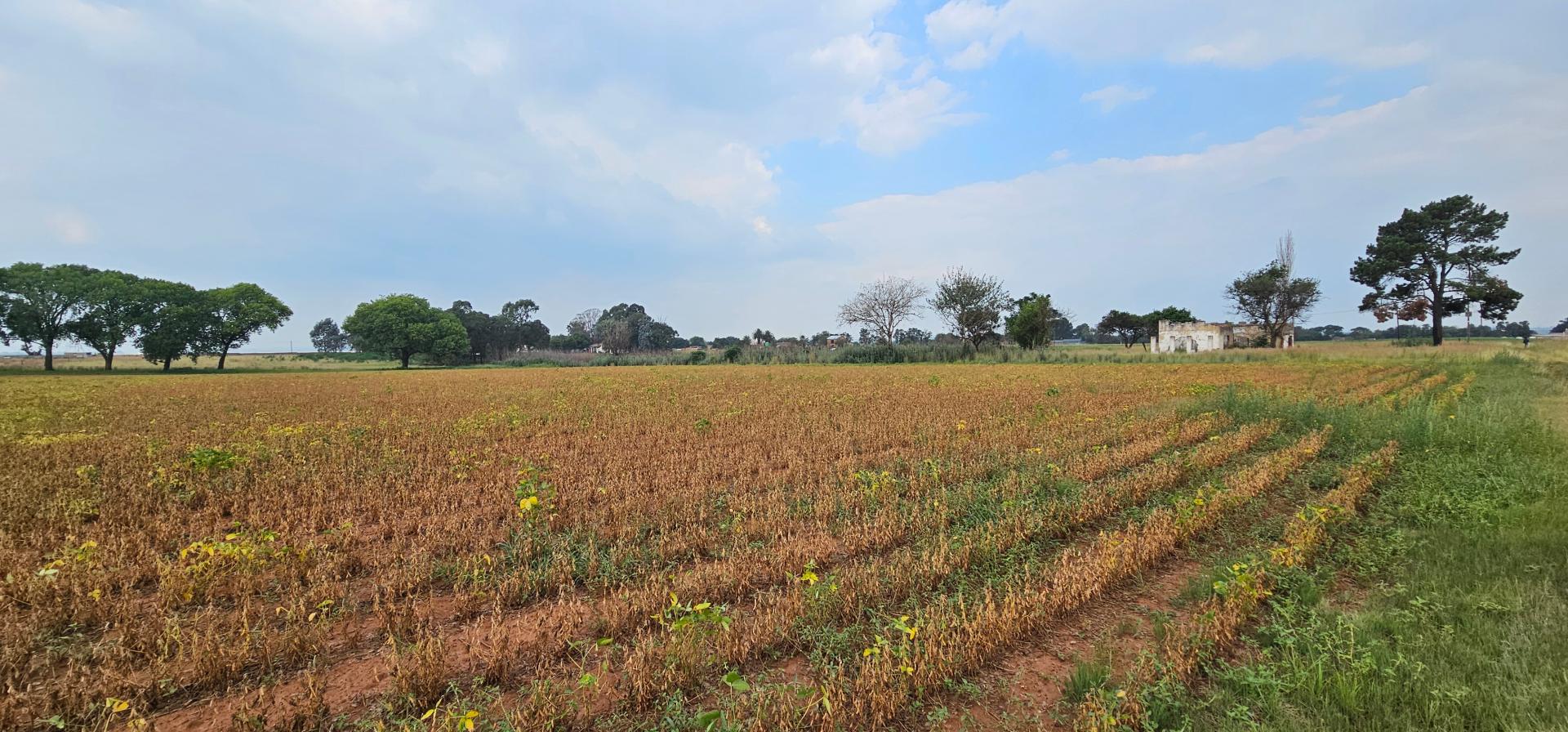 Vacant land / plots for sale in Delmas Delmas Property