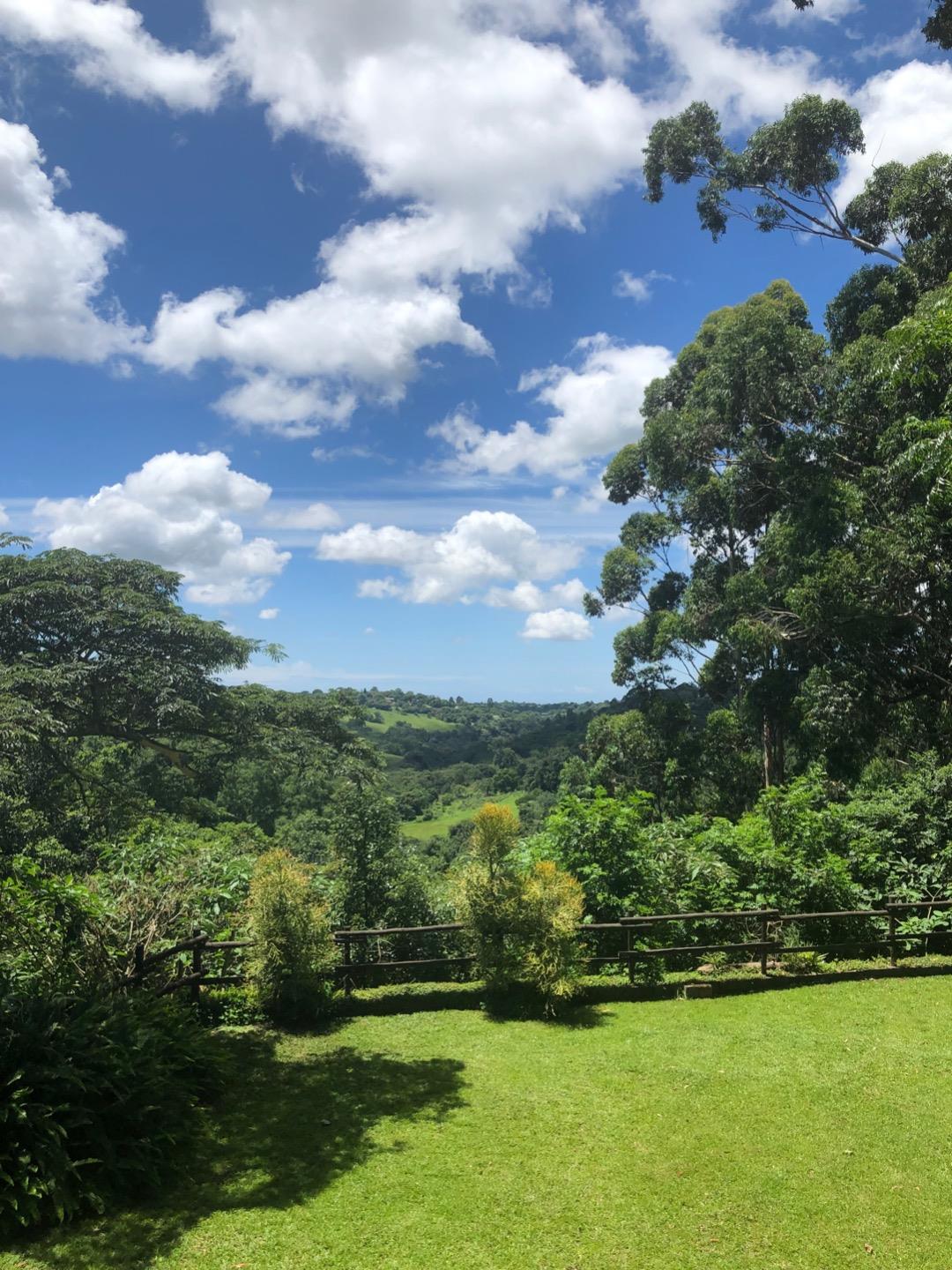 Crestview Property Property and houses for sale in Crestview