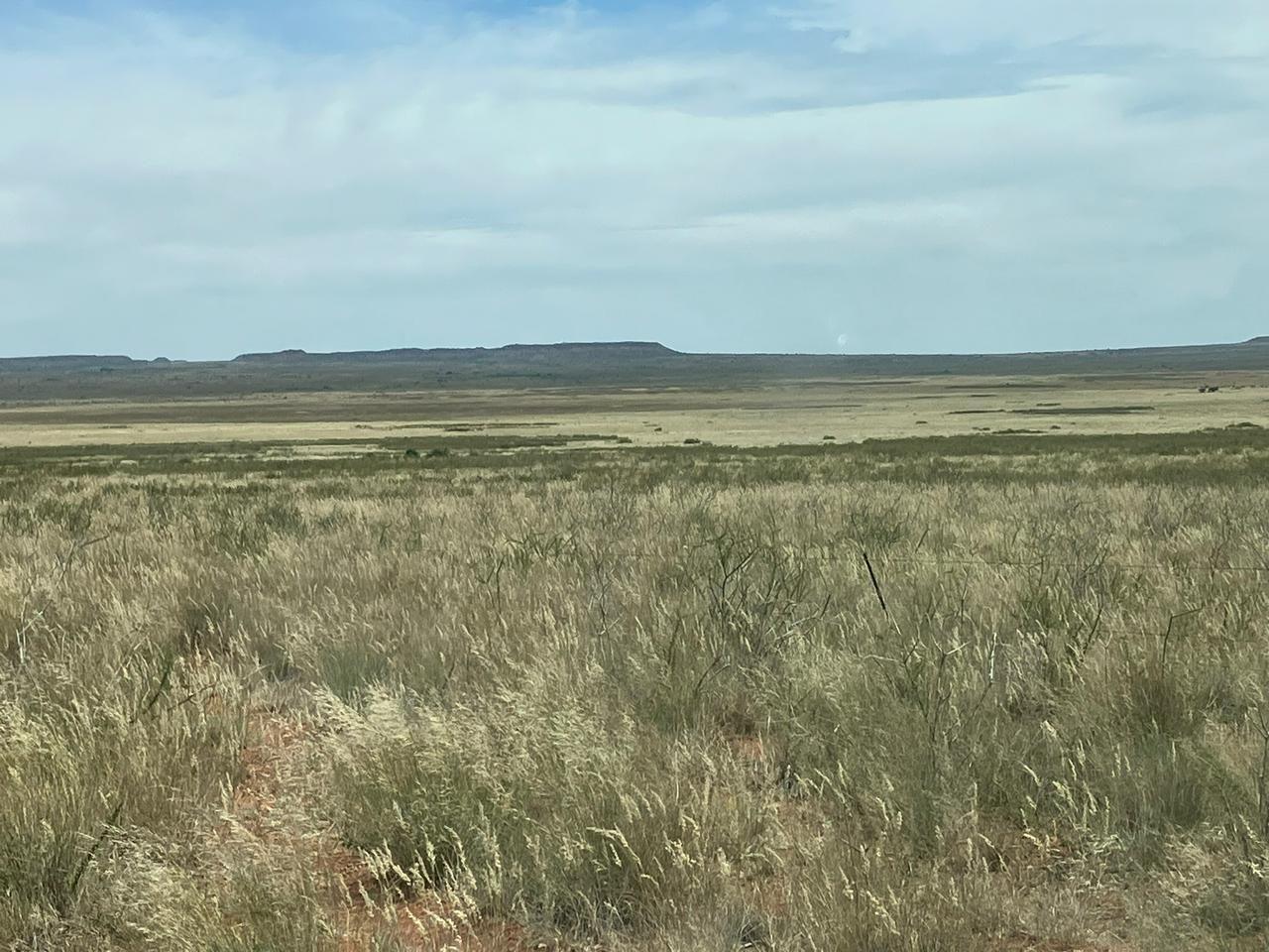 Farm for sale in Hopetown Rural P24114086925