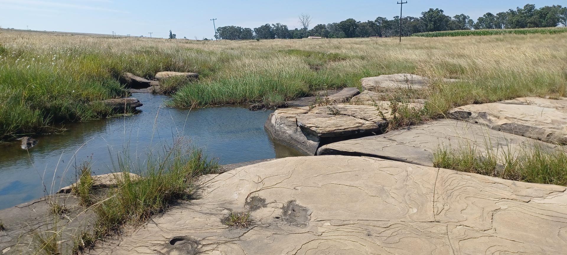 Farms for sale in Newcastle Newcastle Property