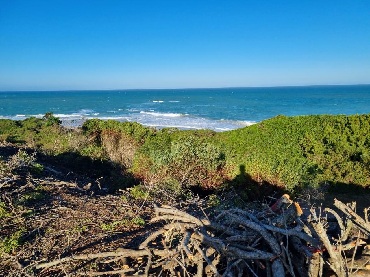 Paradise Beach, Jeffreys Bay Property Property and houses for sale in