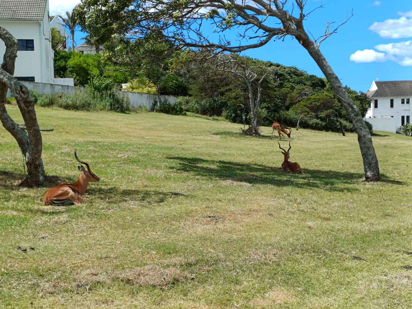 Cove Rock Property Vacant land / plots for sale in Cove Rock