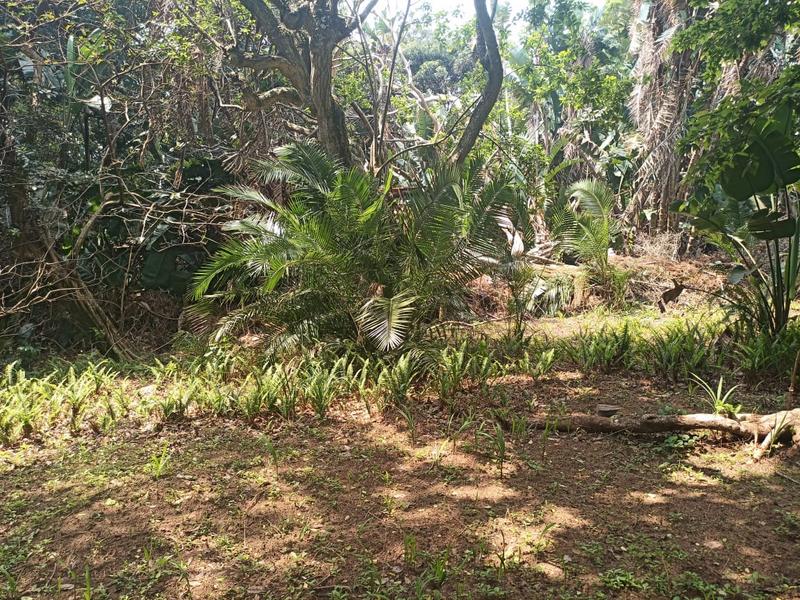 Kzn South Coast Property Vacant land / plot for sale in Kzn South