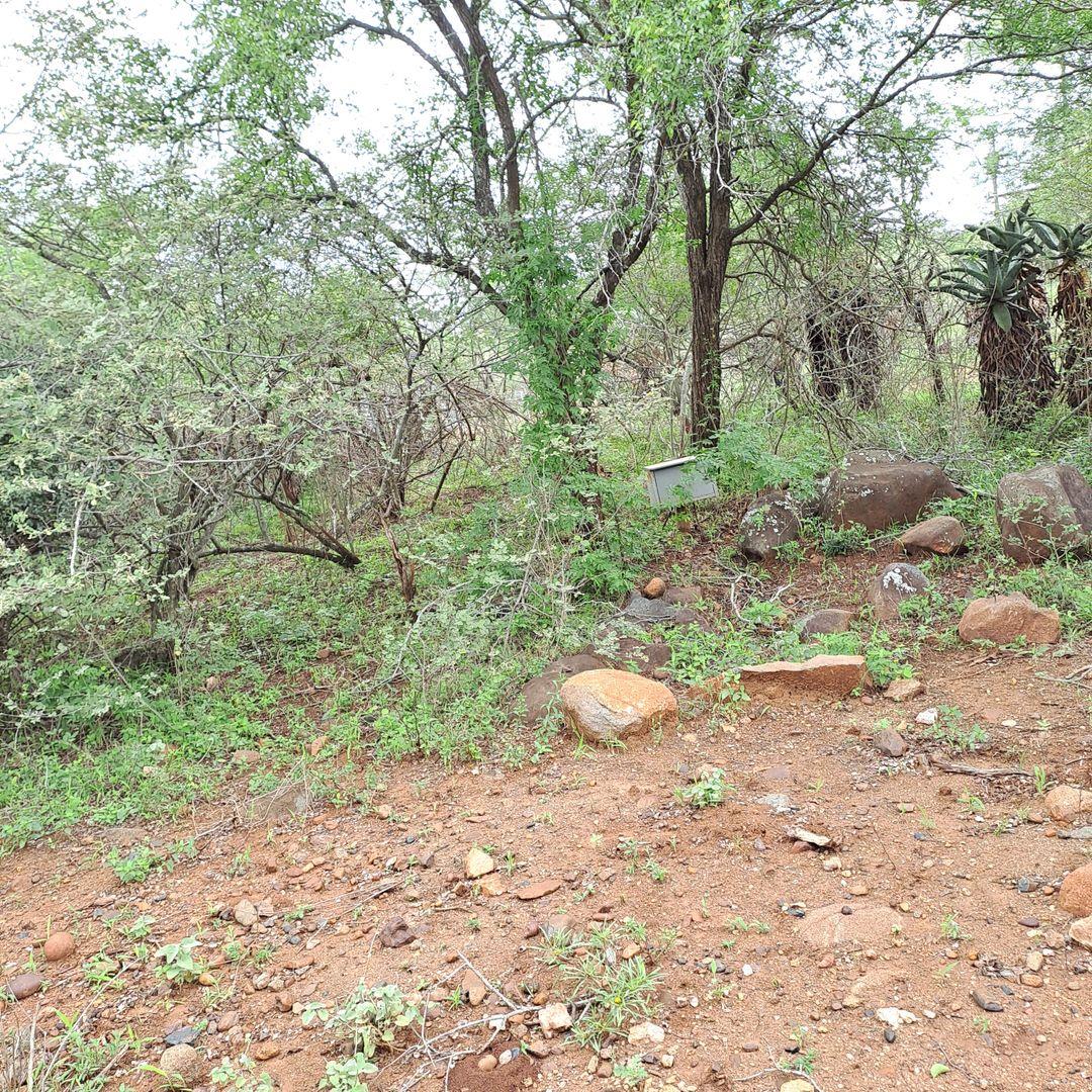 Vacant land / plot for sale in Marloth Park P24114104198