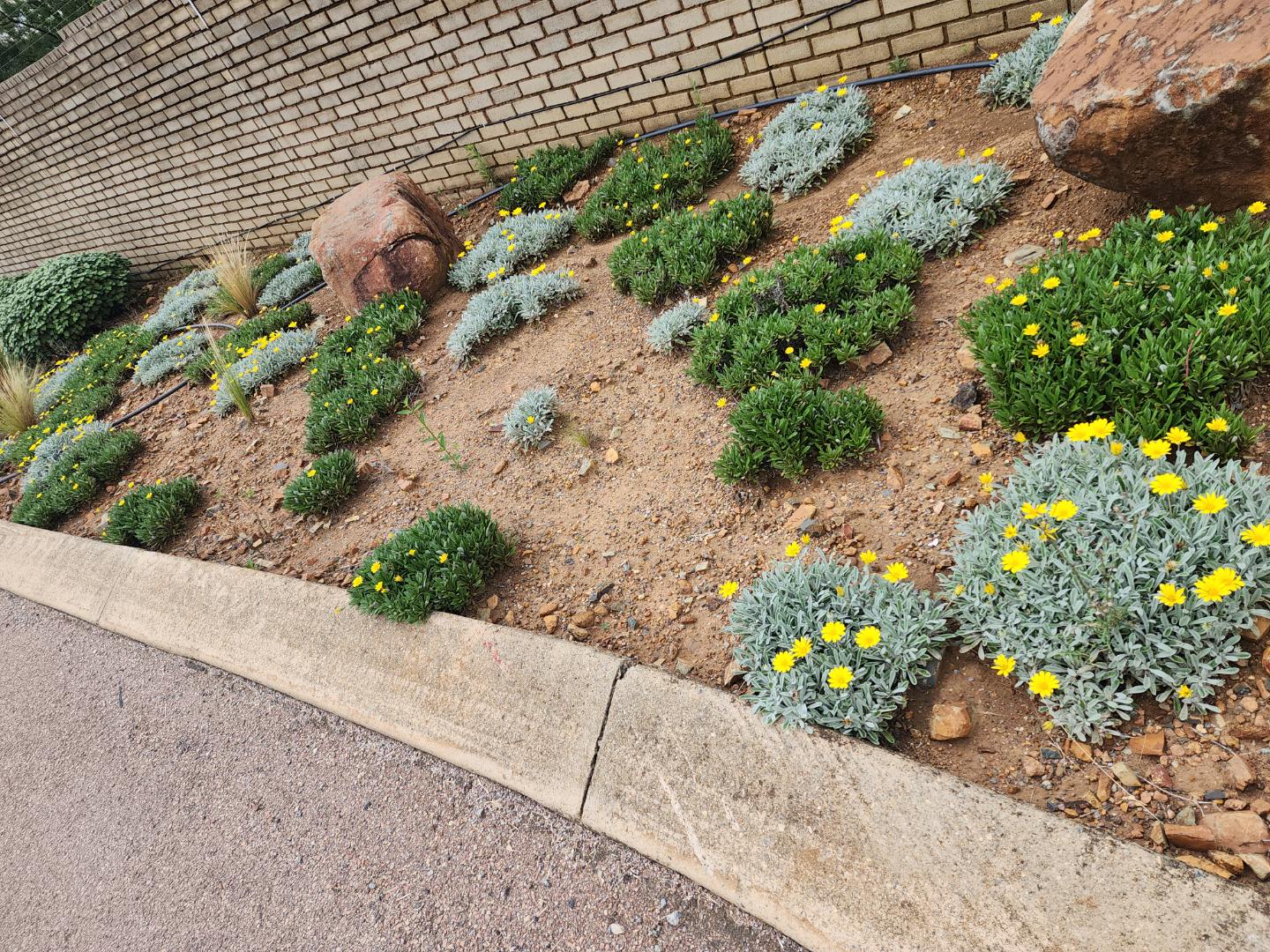 Vacant land / plot for sale in Tygerberg Country Estate Tygerberg Country Estate, 3411 Ab