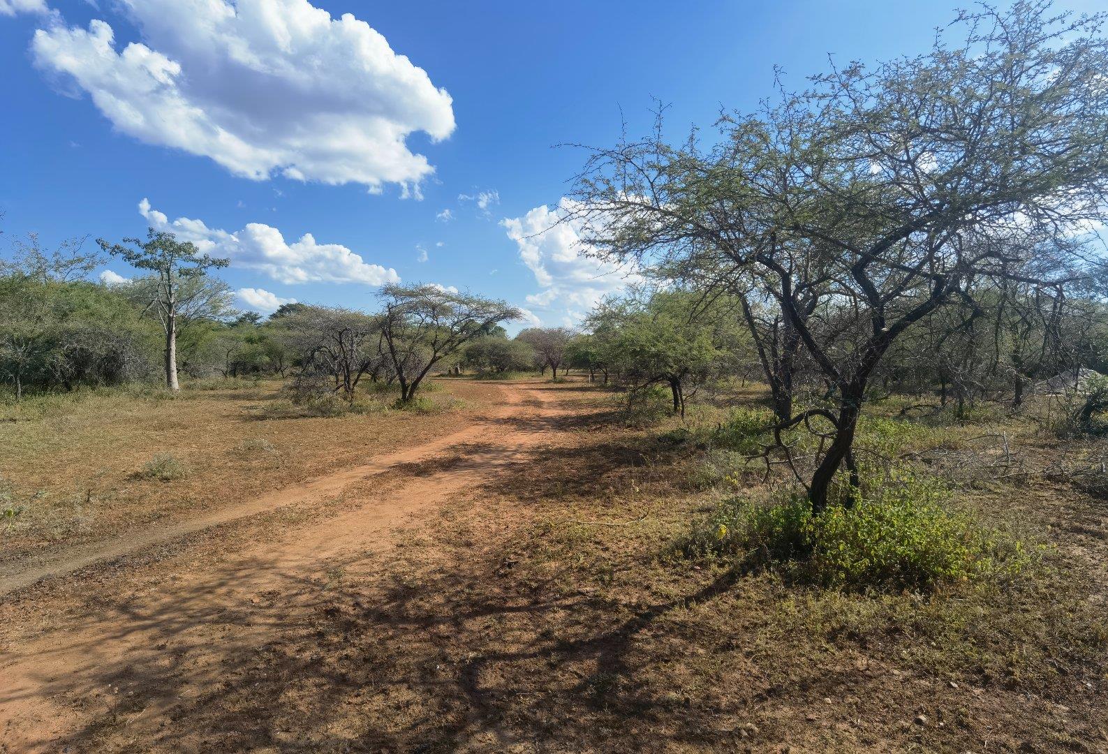 Vacant land / plot for sale in Marloth Park P24114112693