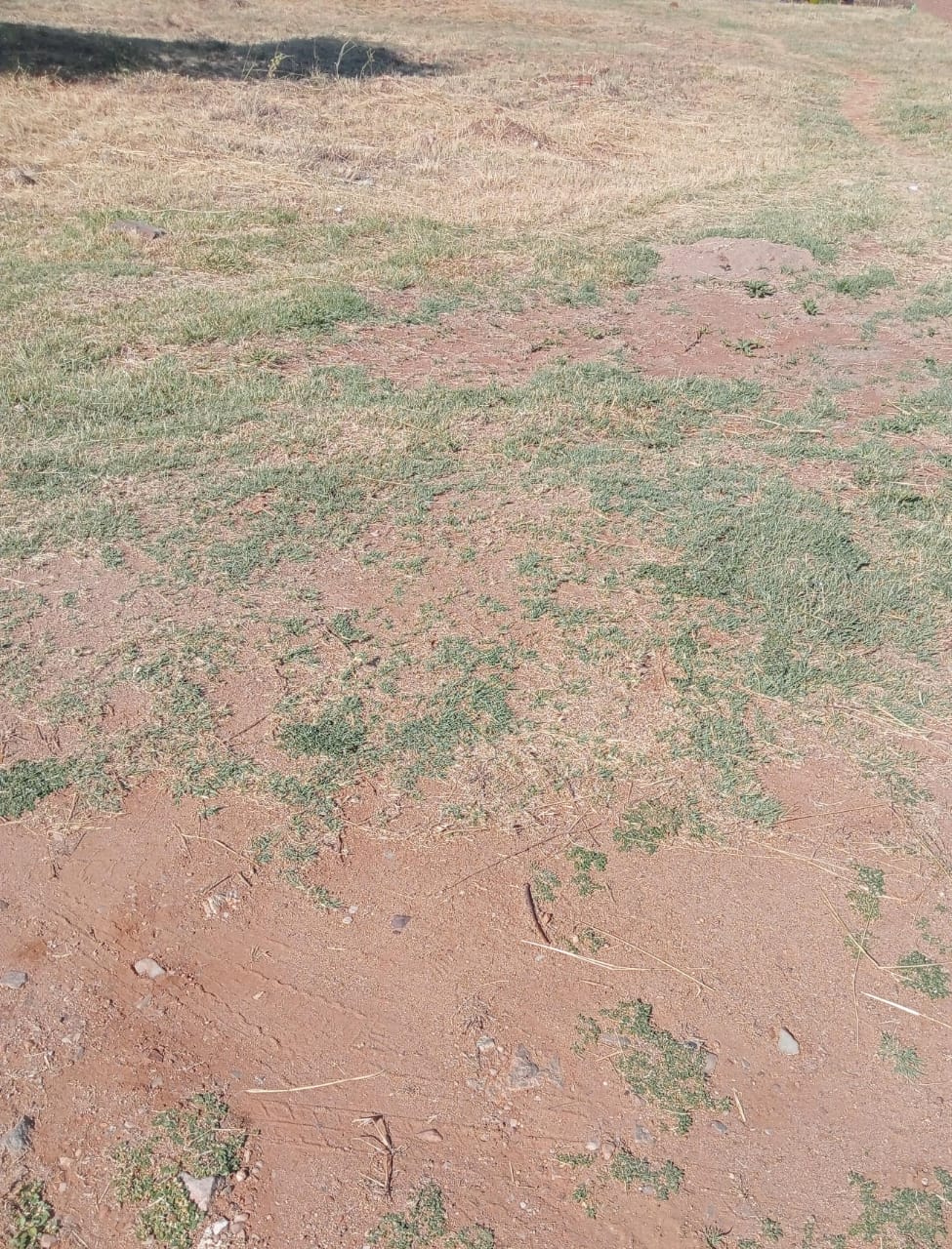 Vacant land / plot for sale in Eagles Crest P24114119731