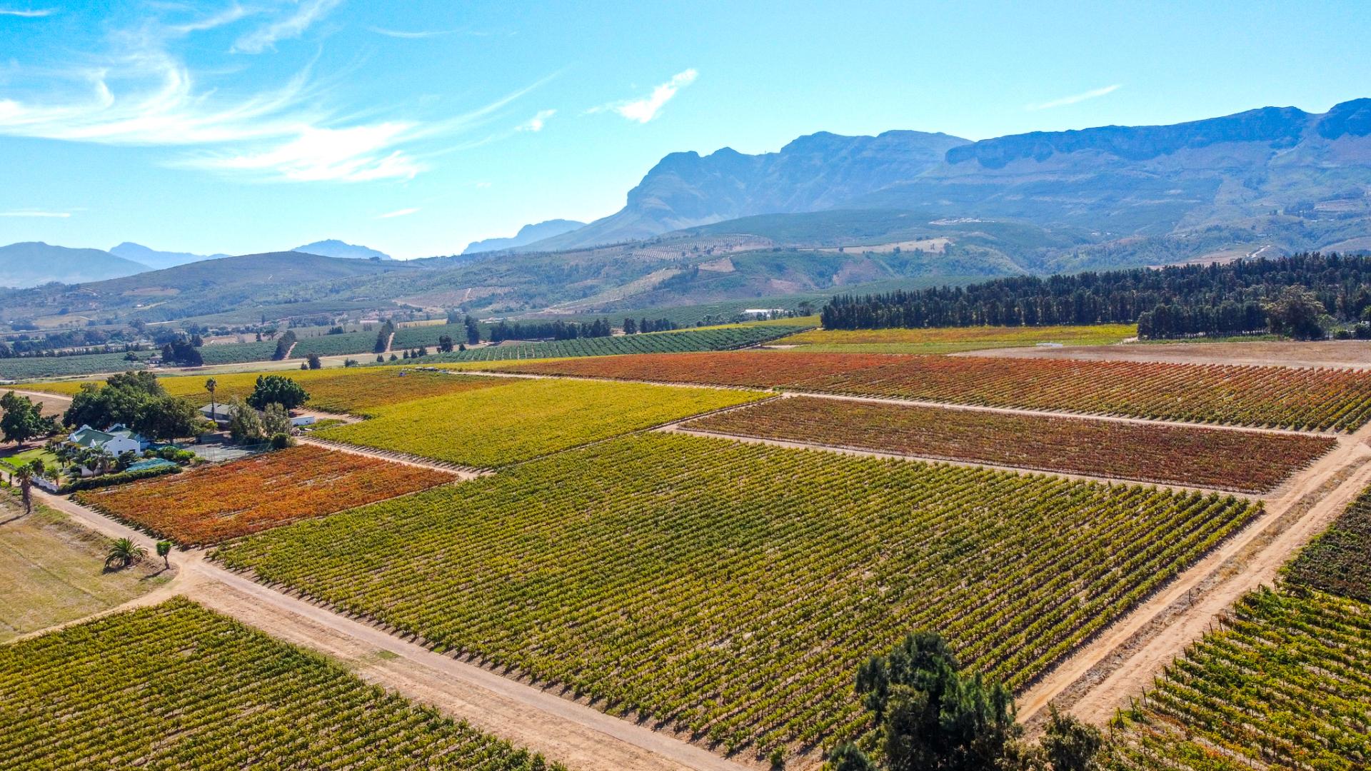 Commercial property for sale in Paarl Rural 591 St.omer P24114124862