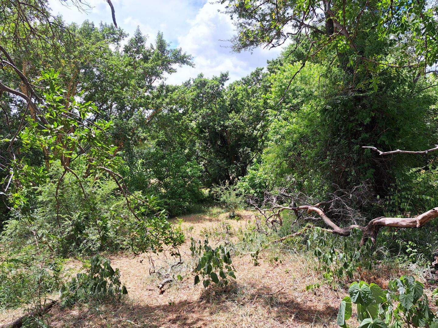 Property for sale in Limpopo Vacant land / plots for sale in Limpopo Page 8