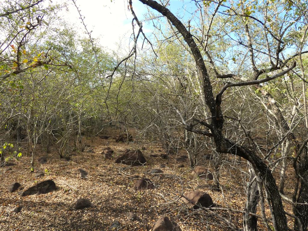 Vacant land / plots for sale in Marloth Park Marloth Park Property