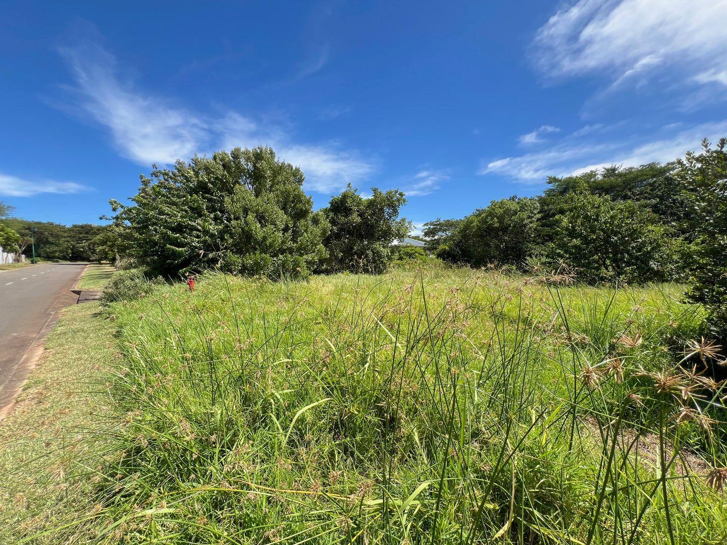 Vacant land / plot for sale in Zini River Estate P24114140653