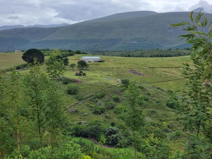 Farm for Sale in Friemersheim