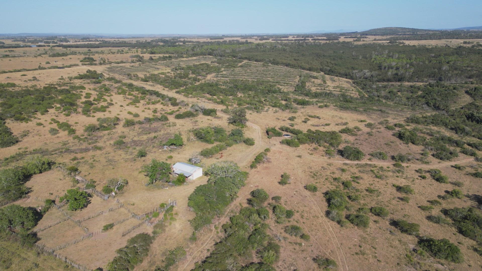 Farm for sale in Bathurst P24114147781