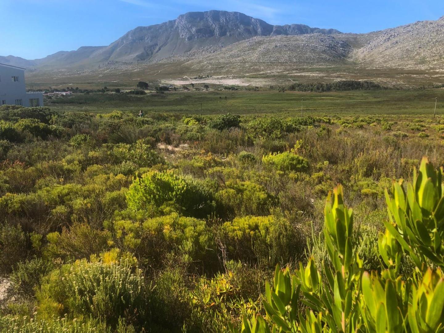 Vacant land / plot for sale in Pringle Bay 1368 (57) Edward Road