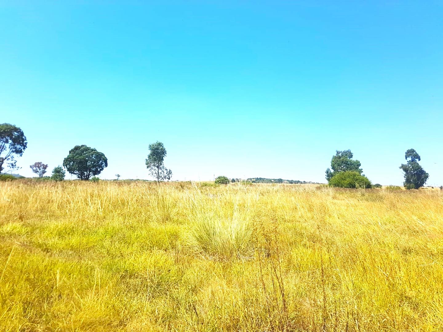 Vaal River Property Vacant land / plot for sale in Vaal River Page 3