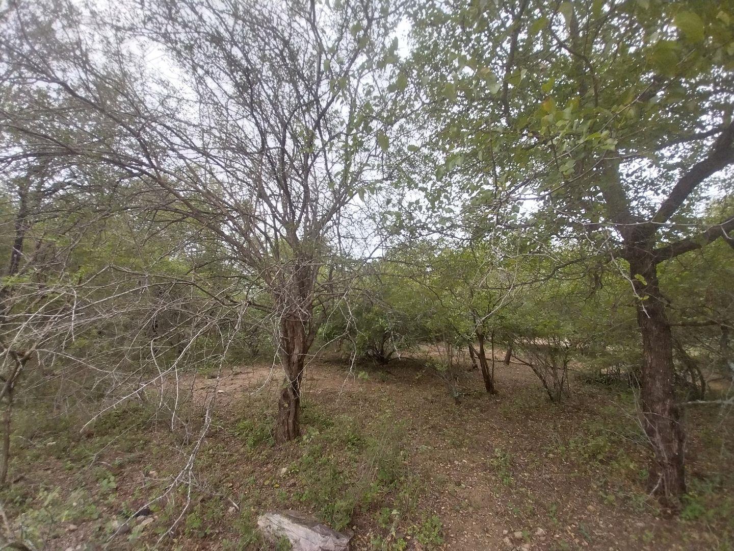 Vacant land / plot for sale in Marloth Park P24114170208