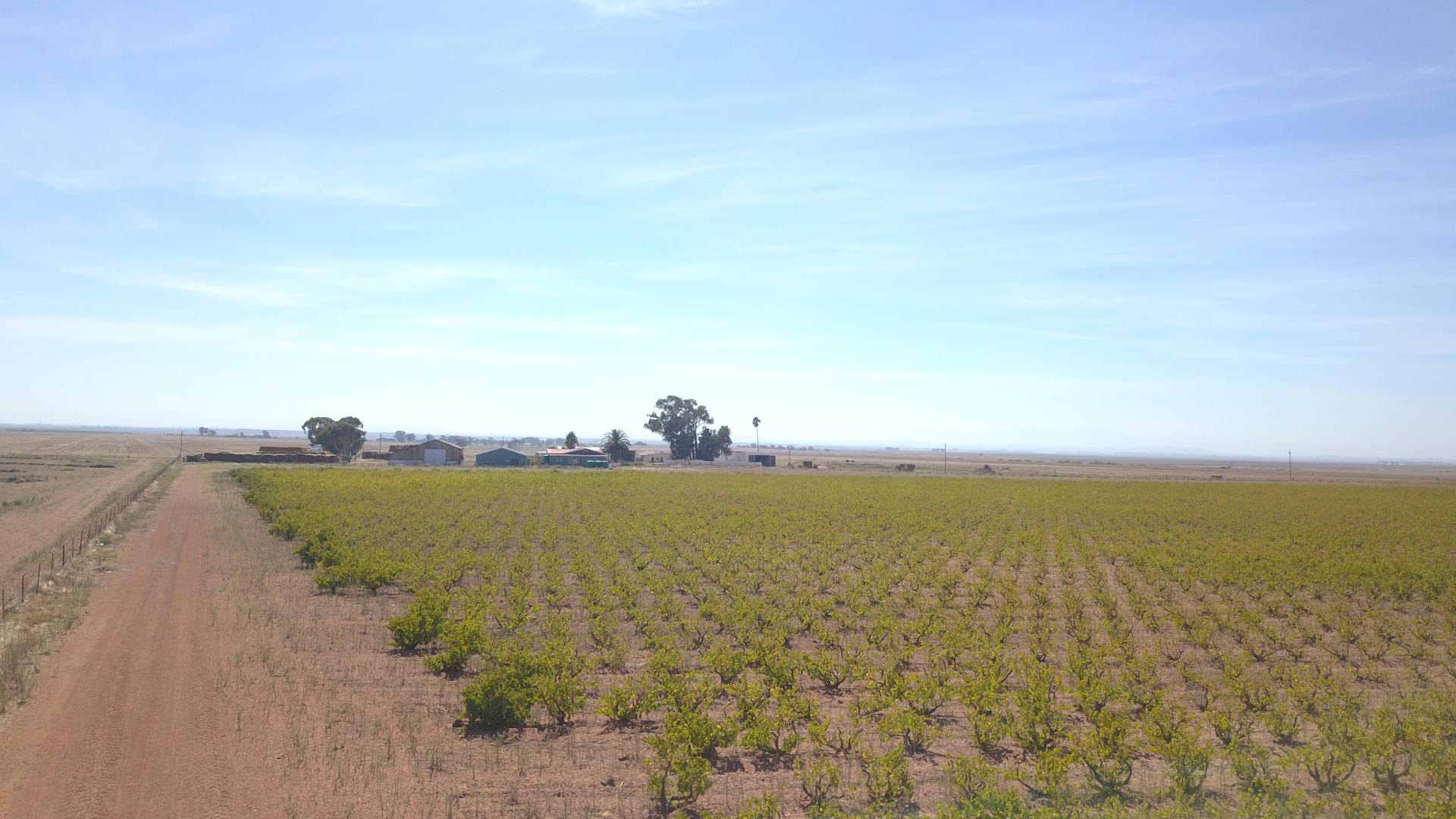 Farms for sale in Darling Darling Property