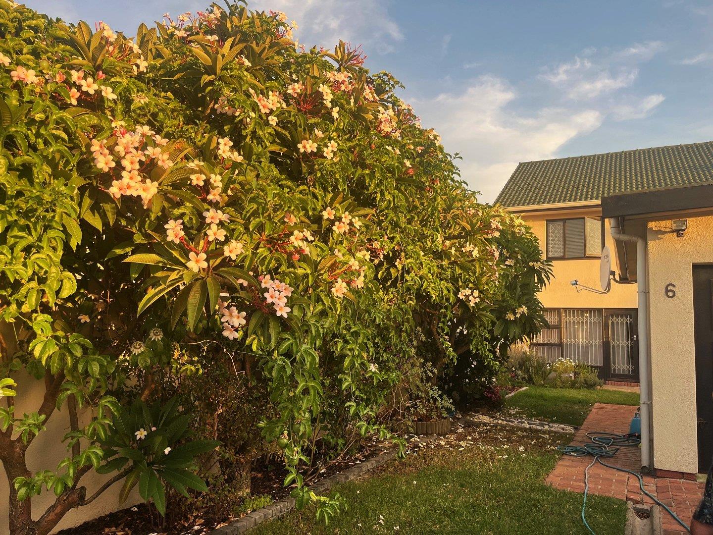 Property to rent in Western Cape Townhouses to rent in Western Cape