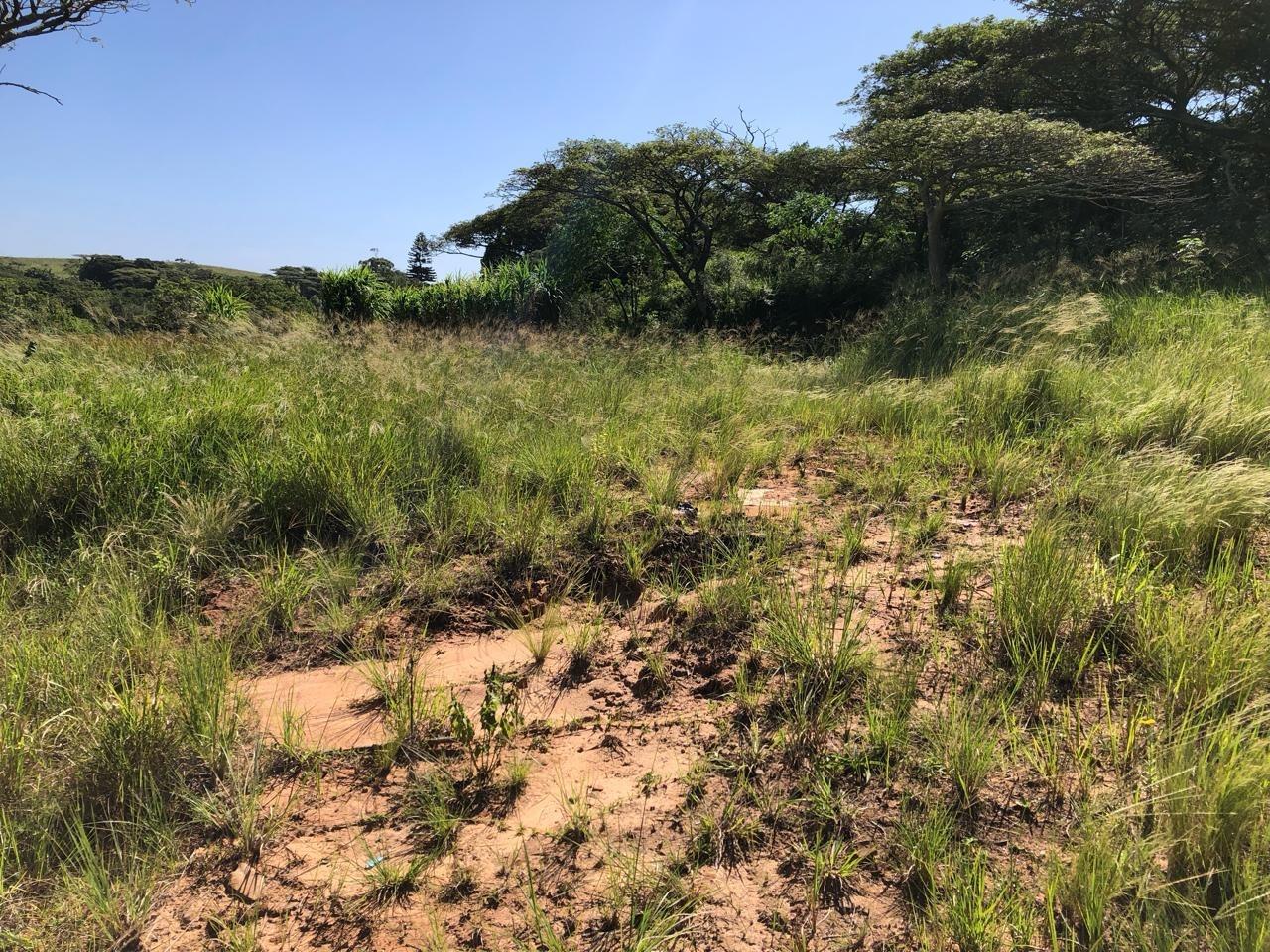 Kzn South Coast Property Vacant land / plot for sale in Kzn South