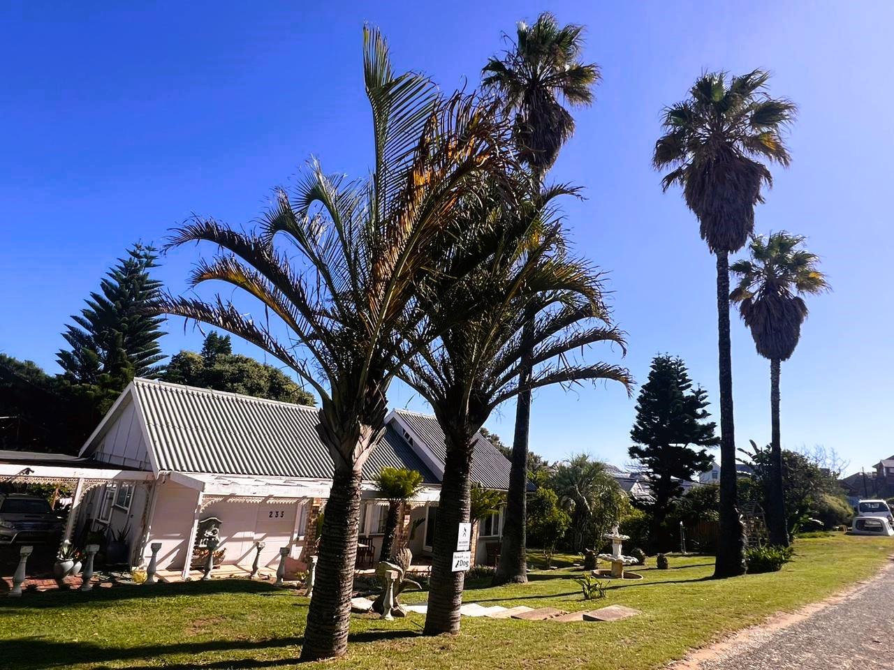 Property and houses to rent in Knysna Knysna Property